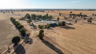 3391 Albury Road Lockhart NSW 2656