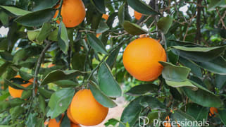 45 Regent Drive Colignan VIC 3494