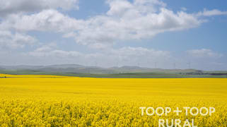 Hardings Road Black Springs SA 5413 Hardings Road Black Springs SA 5413