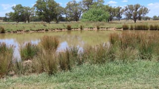 "Wattle-wee-doo" 14213 New England HWY Timbumburi NSW 2340