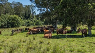 482 Terreel Road Wards River NSW 2422