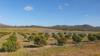 84 Chisari Road Mutchilba QLD 4872