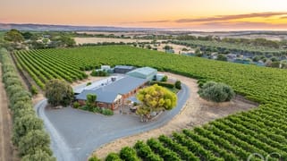 28 Wheaton Road Mclaren Vale SA 5171