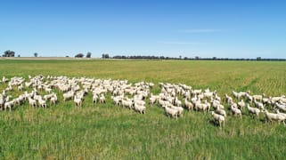 25L & 40R North Terramungamine Road Dubbo NSW 2830 25L & 40R North Terramungamine Road Dubbo NSW 2830