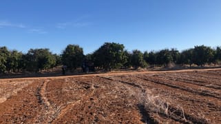 Midlands Road Dongara WA 6525