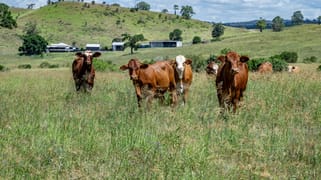'Double Knob' Nangur Road Tansey QLD 4601