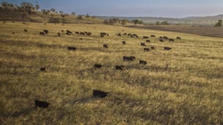 'Mountainside' 250 Mountain Side Road Coolah NSW 2843 'Mountainside' 250 Mountain Side Road Coolah NSW 2843
