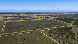 16 Centella Lane Longford VIC 3851