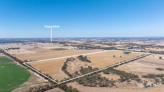 96 Odwyer Road Tabilk VIC 3607