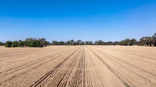 96 Odwyer Road Tabilk VIC 3607