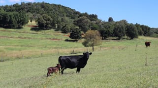 Lot 385 Hoffmanns Road Wondai QLD 4606