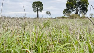 1148 Nalpa Downs Road Mitchell QLD 4465 1148 Nalpa Downs Road Mitchell QLD 4465