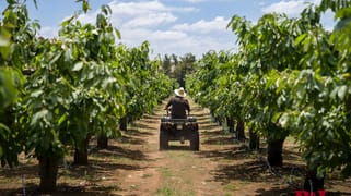 7 Melrose Drive Raglan NSW 2795