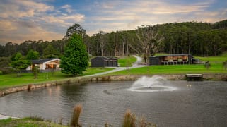 532 Jilliby Road Jilliby NSW 2259