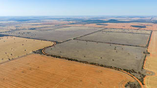 83 Cornells Road Condobolin NSW 2877