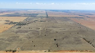 489 West Milby Lane Tullibigeal NSW 2669