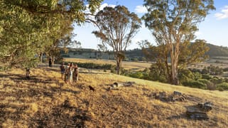 155 Shanks Lane Boorolite VIC 3723