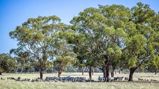 524 Bool Lagoon West Road Bool Lagoon SA 5271