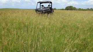 Lot 119 Ellangowan Myrtle Creek Road Ellangowan NSW 2470