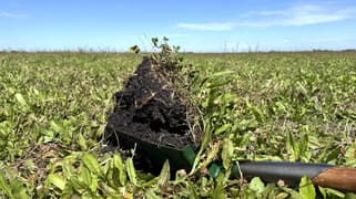 Lot 187/& Section 78 Princess Highway Millicent SA 5280 Lot 187/& Section 78 Princess Highway Millicent SA 5280