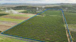 263/71 Gilmore Mareeba QLD 4880