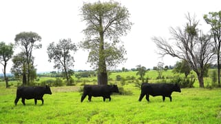 Billabong, Orallo Road Roma QLD 4455