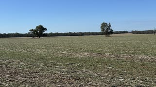 . Lilydale Road Balldale NSW 2646