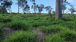 1/133 Price Street Kensington QLD 4670