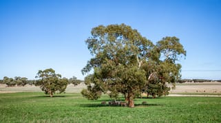 1089 Pedericks Road Lochaber SA 5271