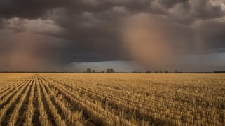 1048 Wyanga Road Narromine NSW 2821