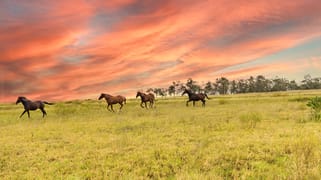 3, 1145 Biddeston-Southbrook Road Southbrook QLD 4363 3, 1145 Biddeston-Southbrook Road Southbrook QLD 4363