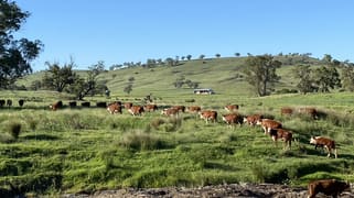Hillgrove, 2851 Napier Lane Nombi NSW 2379
