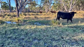 296 Limestone Road Inverell NSW 2360