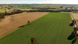 261 Paper Forest Road Mangoplah NSW 2652