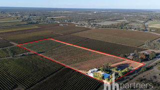 131 Lobban Road Monash SA 5342