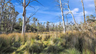 1060 Creewah Road Creewah NSW 2631