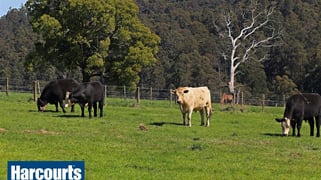 85 Paynter Road Neerim Junction VIC 3832