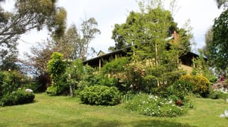 361 Duggan North Road Fumina VIC 3825