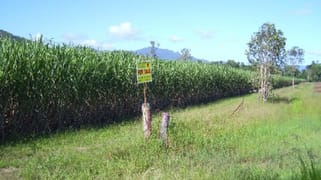Copleys Road Abergowrie QLD 4850
