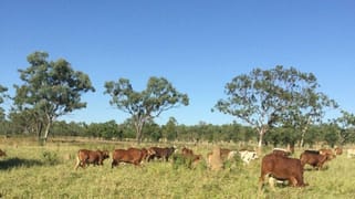 Lot 197 Fourth Street Forsayth QLD 4871