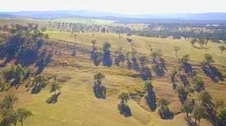 234 Maitland Vale Rd Maitland Vale NSW 2320