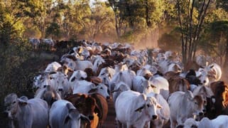 Mitchell QLD 4465