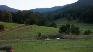 439 Upper Buckra Bendinni Bowraville NSW 2449