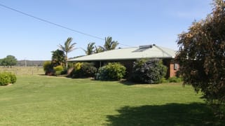 2287 Clarence Way Upper Copmanhurst NSW 2460