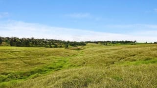 Lot 51 Lenaghans Drive Lenaghan NSW 2322