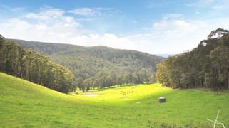 Cnr Loch Valley & Ridge Road Noojee VIC 3833