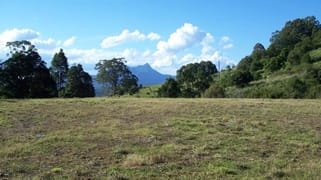 Mount Burrell NSW 2484