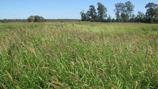 ORIENT, 5372 ACRES QUALITY GRAZING Miles QLD 4415
