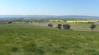 BackBlock Buchanans Road Wirrimah NSW 2803