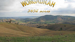 4098 Snowy Mountains Highway Mount Adrah NSW 2722